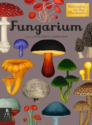 Fungárium: Vitajte v múzeu - Fungarium: Welcome to the Museum