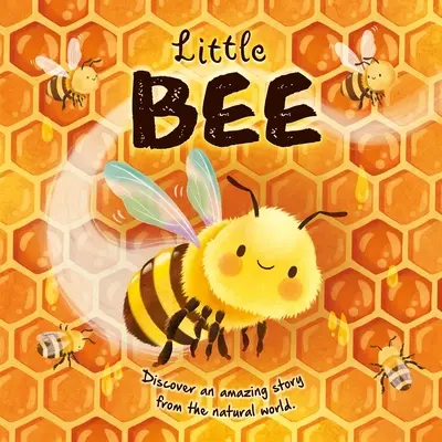 Príbehy z prírody: Malá včielka: Včielka: Kniha pre včely: Polstrovaná dosková kniha - Nature Stories: Little Bee: Padded Board Book