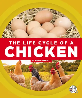 Životný cyklus kurčaťa - The Life Cycle of a Chicken