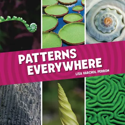 Vzory všade - Patterns Everywhere