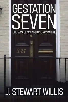 Sedem tehotenstiev: Jeden bol čierny a druhý biely - Gestation Seven: One Was Black and One Was White