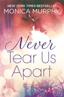 Nikdy nás nerozdeľuj: Séria Nikdy nás nerozdelí: 1. - Never Tear Us Apart: Never Series 1