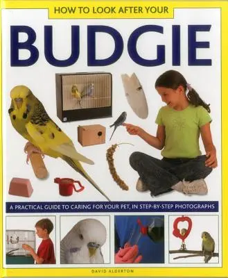 Ako sa starať o andulku - How to Look After Your Budgie