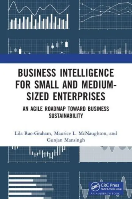 Business Intelligence pre malé a stredné podniky: Agile Roadmap Toward Business Sustainability (Agilný plán na dosiahnutie udržateľnosti podniku) - Business Intelligence for Small and Medium-Sized Enterprises: An Agile Roadmap Toward Business Sustainability