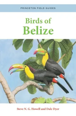 Vtáky Belize - Birds of Belize