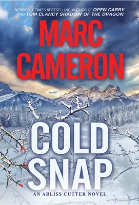 Chladná vlna: Napínavý román plný akcie - Cold Snap: An Action Packed Novel of Suspense