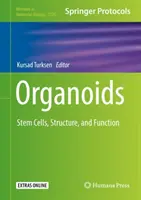 Organoidy: Kmeňové bunky, štruktúra a funkcia - Organoids: Stem Cells, Structure, and Function