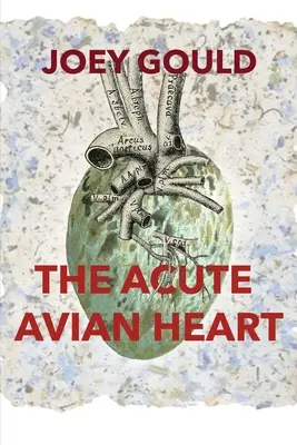 Akútne vtáčie srdce - The Acute Avian Heart