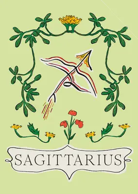 Strelec - Sagittarius