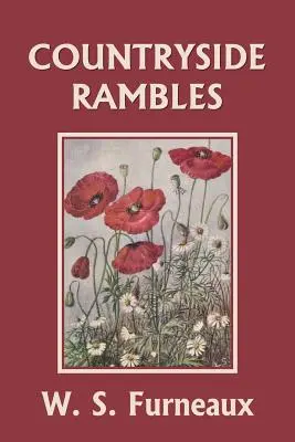 Vidiecke potulky (Yesterday's Classics) - Countryside Rambles (Yesterday's Classics)