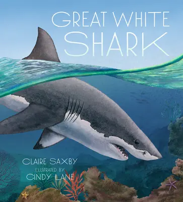 Veľký biely žralok - Great White Shark