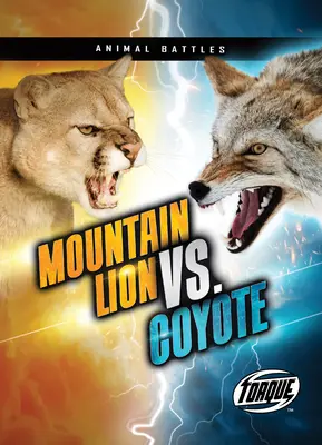 Horský lev vs. kojot - Mountain Lion vs. Coyote