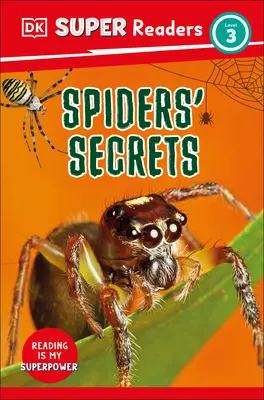 DK Super Readers Level 3 Tajomstvá pavúkov - DK Super Readers Level 3 Spiders' Secrets