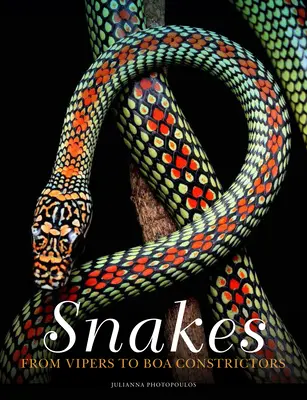 Hady: Od zmijí po hroznýše - Snakes: From Vipers to Boa Constrictors