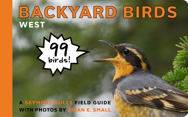 Vtáky na dvore: West - Backyard Birds: West