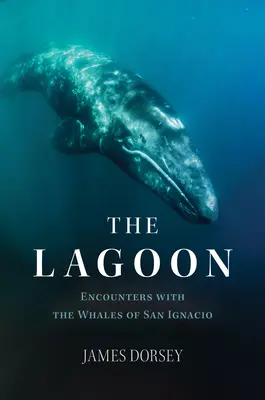 Lagúna: Stretnutia s veľrybami v San Ignacio - The Lagoon: Encounters with the Whales of San Ignacio