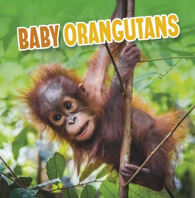 Mláďatá orangutanov - Baby Orangutans