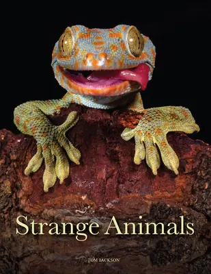 Podivné zvieratá - Strange Animals