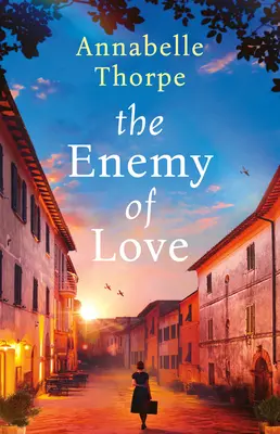 Nepriateľ lásky - The Enemy of Love