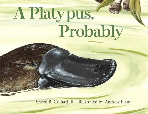 Pravdepodobne platypus - A Platypus, Probably