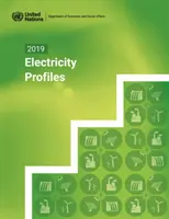 Profily elektrickej energie na rok 2019 - 2019 electricity profiles