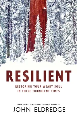Odolný: Obnovenie vašej unavenej duše v týchto búrlivých časoch - Resilient: Restoring Your Weary Soul in These Turbulent Times