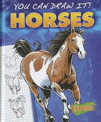 Kone - Horses