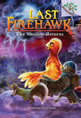 Stín sa vracia: Kniha o vetvách (Posledný jastrab ohnivák #12) - The Shadow Returns: A Branches Book (the Last Firehawk #12)