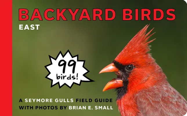 Vtáky na dvore: Východ - Backyard Birds: East