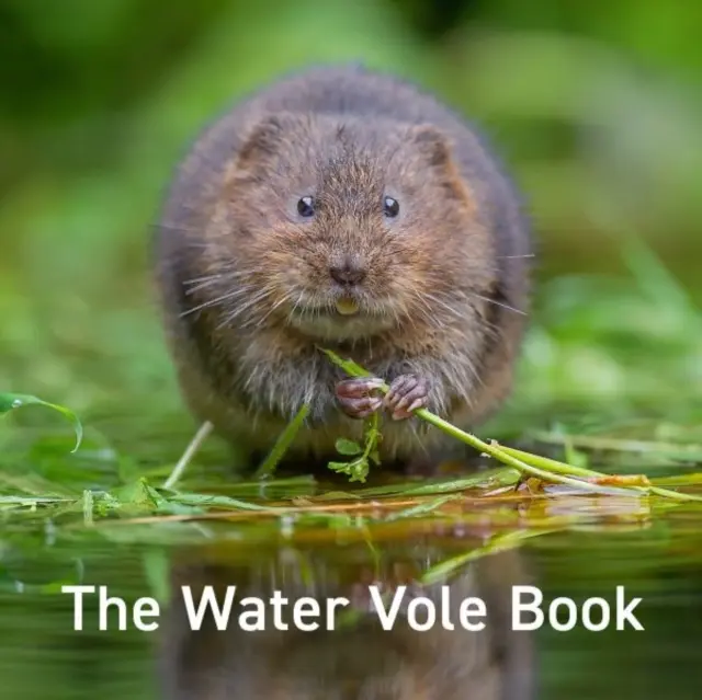 Kniha o vodnej hraboške - Water Vole Book