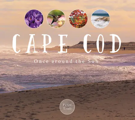 Cape Cod: Kedysi okolo Slnka - Cape Cod: Once Around the Sun