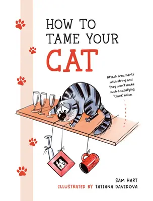 Ako skrotiť svoju mačku - How to Tame Your Cat