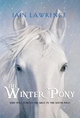 Zimný poník - The Winter Pony