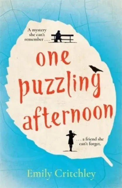 Jedno záhadné popoludnie - najpresvedčivejšia debutová záhada čitateľskej skupiny roku 2023 - One Puzzling Afternoon - The most compelling debut reading group mystery of 2023