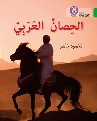 Arabský kôň - úroveň 5 - Arabian Horse - Level 5
