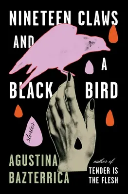 Devätnásť pazúrov a čierny vták: Príbehy - Nineteen Claws and a Black Bird: Stories