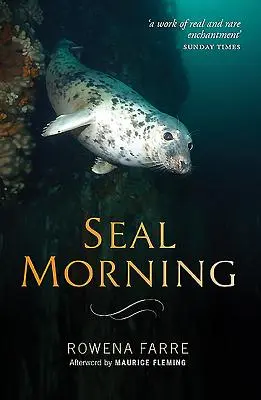 Ráno s tuleňom - Seal Morning