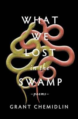 Čo sme stratili v bažine: Básne: - What We Lost in the Swamp: Poems