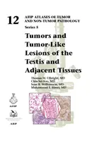 Nádory a nádorom podobné lézie semenníka a priľahlých tkanív - Tumors and Tumor-Like Lesions of the Testis and Adjacent Tissues