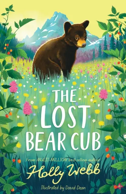 Stratené medvedie mláďa - Lost Bear Cub