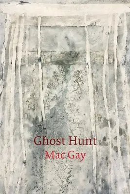 Lov na duchov - Ghost Hunt