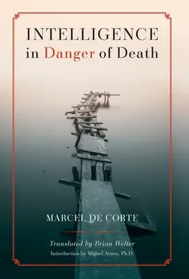 Inteligencia v ohrození smrti (anglické vydanie) - Intelligence in Danger of Death (English edition)