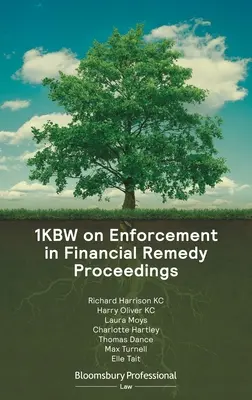 1kbw o vymáhaní v konaní o finančných opravných prostriedkoch - 1kbw on Enforcement in Financial Remedy Proceedings