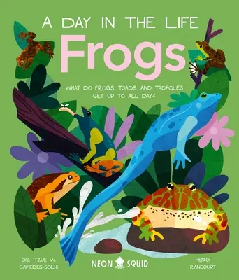 Žaby (deň v živote): Čo robia žaby, ropuchy a pakobylky počas celého dňa? - Frogs (a Day in the Life): What Do Frogs, Toads, and Tadpoles Get Up to All Day?
