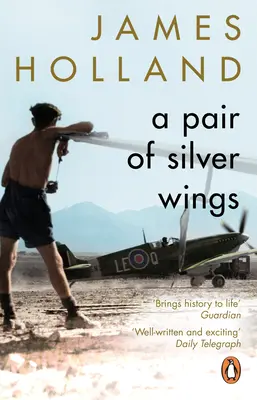 Pár strieborných krídel - Pair of Silver Wings