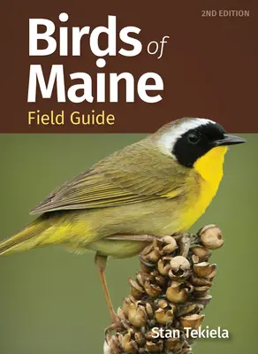 Terénny sprievodca vtáctva štátu Maine - Birds of Maine Field Guide