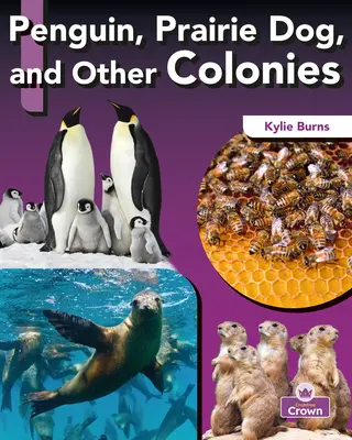 Tučniak, prériový pes a iné kolónie - Penguin, Prairie Dog, and Other Colonies