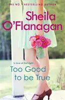 Príliš dobré na to, aby to bola pravda - Romantické a dobrodružné čítanie, pri ktorom sa dobre cíti - Too Good To Be True - A feel-good read of romance and adventure
