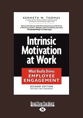 Vnútorná motivácia v práci: (Large Print 16pt): Čo skutočne poháňa angažovanosť zamestnancov? - Intrinsic Motivation at Work: What Really Drives Employee Engagement (Large Print 16pt)
