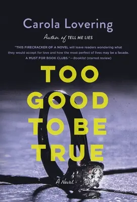 Príliš dobré na to, aby to bola pravda - Too Good to Be True